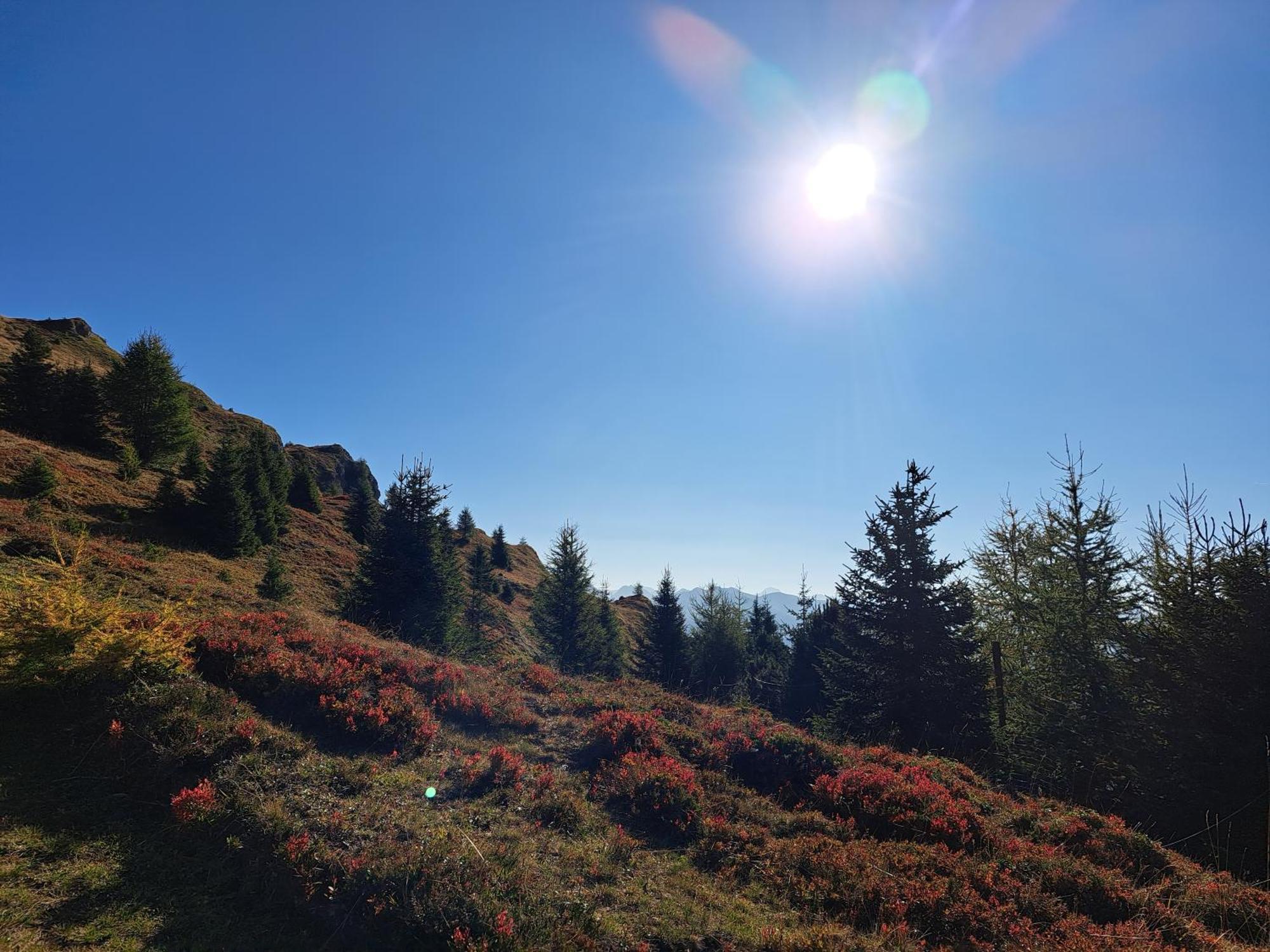 Apart Am Brunnen Ried im Oberinntal Eksteriør billede