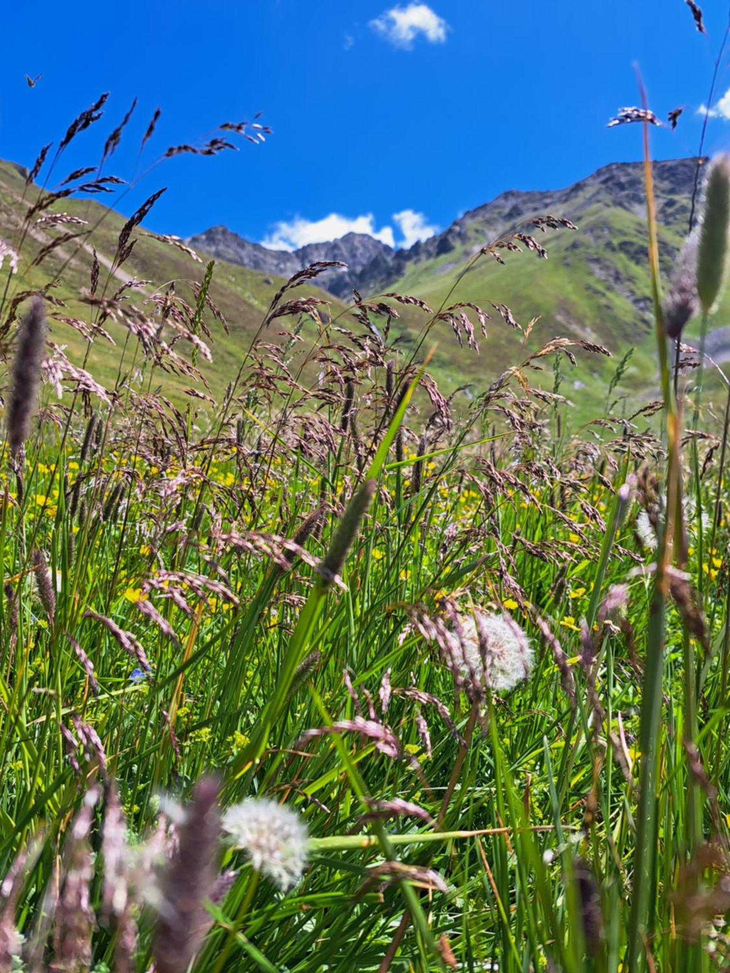 Apart Am Brunnen Ried im Oberinntal Eksteriør billede